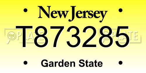 T873285 New Jersey License Plate