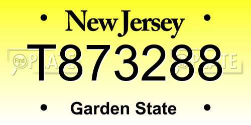 T873288 New Jersey License Plate