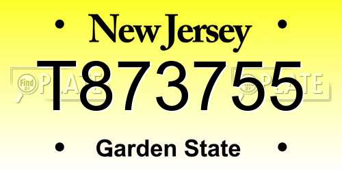 T873755 New Jersey License Plate