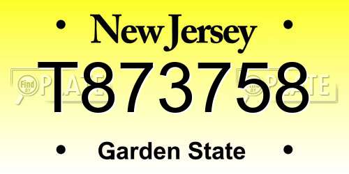 T873758 New Jersey License Plate
