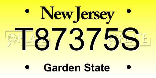 T87375S New Jersey License Plate