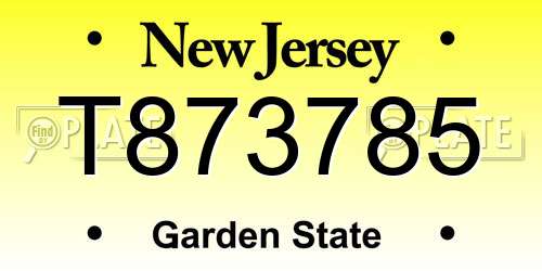 T873785 New Jersey License Plate