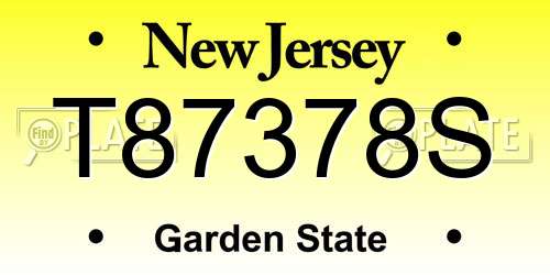 T87378S New Jersey License Plate