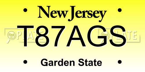 T87AGS New Jersey License Plate