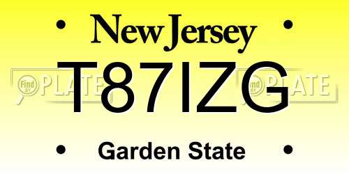T87IZG New Jersey License Plate