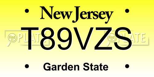 T89VZS New Jersey License Plate