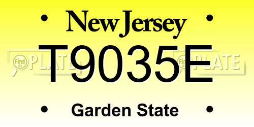 T9035E New Jersey License Plate