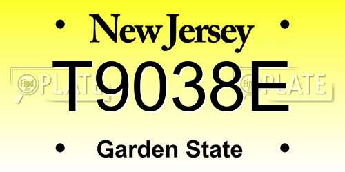 T9038E New Jersey License Plate