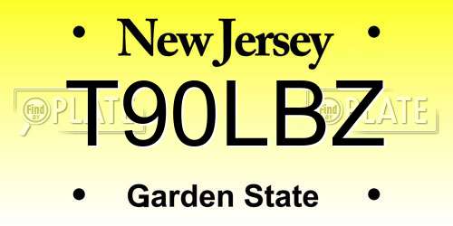 T90LBZ New Jersey License Plate