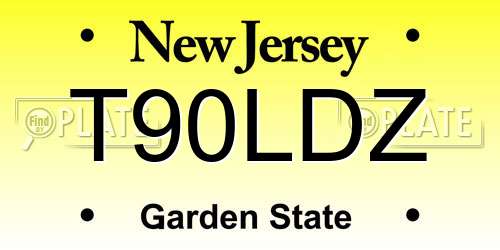 T90LDZ New Jersey License Plate
