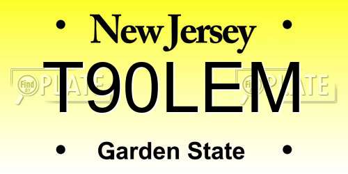 T90LEM New Jersey License Plate