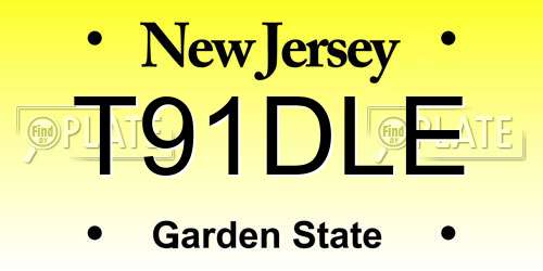 T91DLE New Jersey License Plate