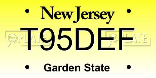 T95DEF New Jersey License Plate
