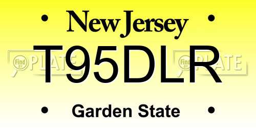 T95DLR New Jersey License Plate