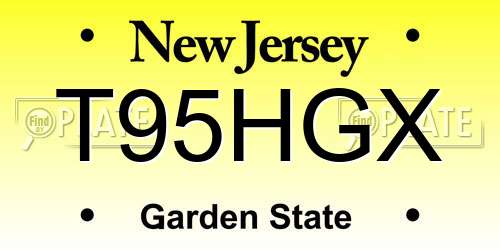 T95HGX New Jersey License Plate
