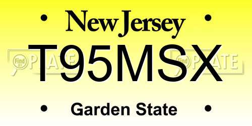 T95MSX New Jersey License Plate