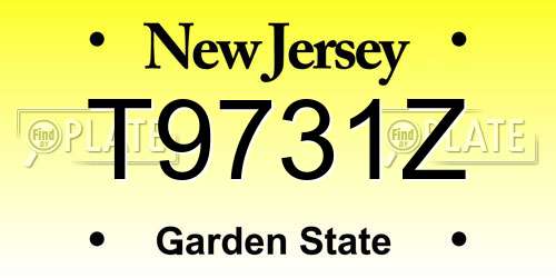 T9731Z New Jersey License Plate