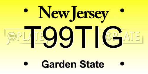 T99TIG New Jersey License Plate