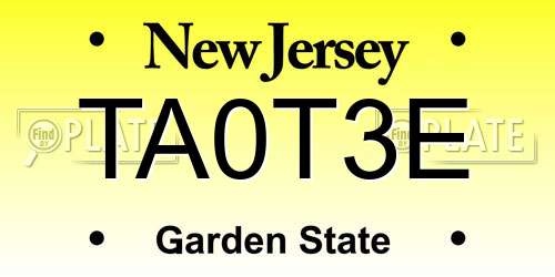 TA0T3E New Jersey License Plate