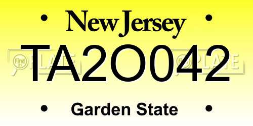 TA2O042 New Jersey License Plate