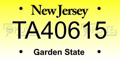 TA40615 New Jersey License Plate