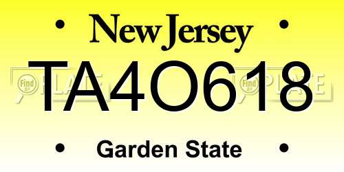 TA4O618 New Jersey License Plate
