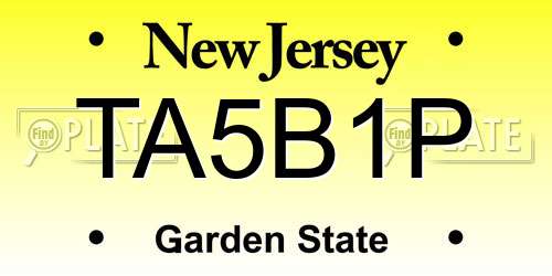 TA5B1P New Jersey License Plate