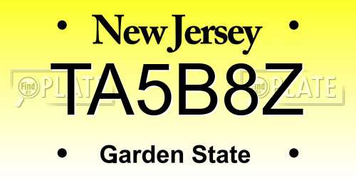 TA5B8Z New Jersey License Plate