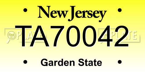 TA70042 New Jersey License Plate
