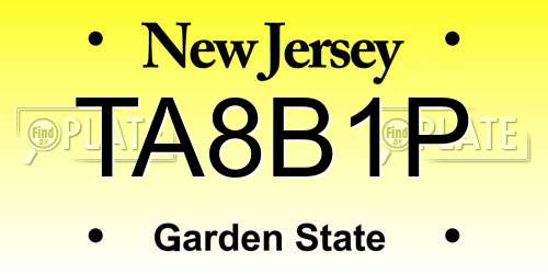 TA8B1P New Jersey License Plate