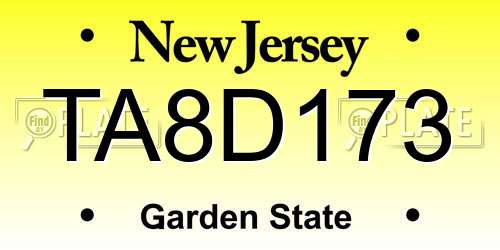 TA8D173 New Jersey License Plate