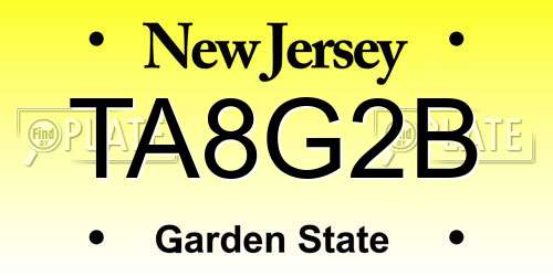 TA8G2B New Jersey License Plate