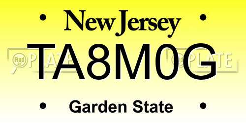 TA8M0G New Jersey License Plate