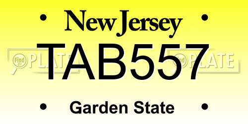 TAB557 New Jersey License Plate