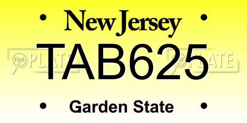 TAB625 New Jersey License Plate