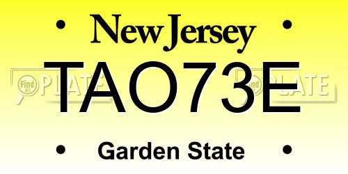 TAO73E New Jersey License Plate