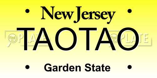TAOTAO New Jersey License Plate