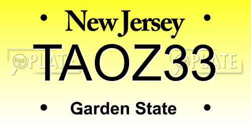 TAOZ33 New Jersey License Plate