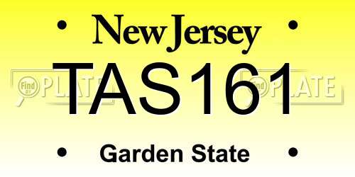 TAS161 New Jersey License Plate