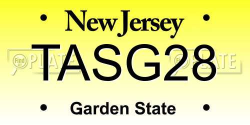 TASG28 New Jersey License Plate