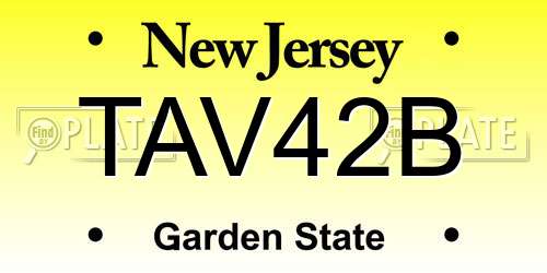 TAV42B New Jersey License Plate