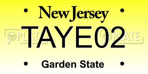 TAYE02 New Jersey License Plate