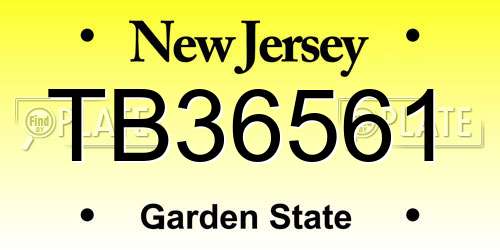 TB36561 New Jersey License Plate