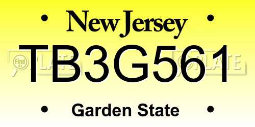 TB3G561 New Jersey License Plate