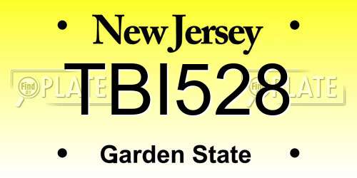 TBI528 New Jersey License Plate