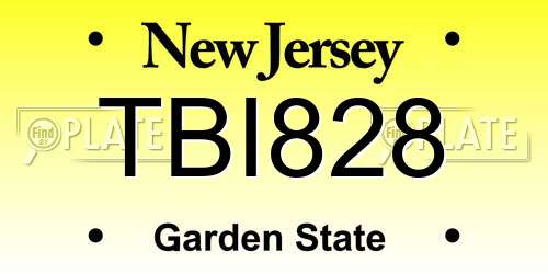 TBI828 New Jersey License Plate