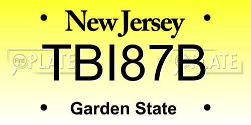 TBI87B New Jersey License Plate