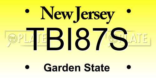 TBI87S New Jersey License Plate