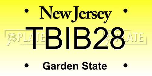 TBIB28 New Jersey License Plate