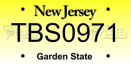 TBS0971 New Jersey License Plate